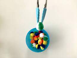 Tweezer and Pompom Kit